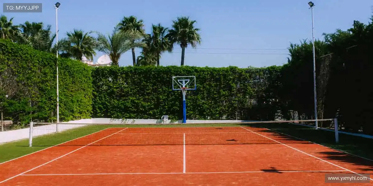 在代码与艺术之间，寻找游戏的灵魂！🎲🎨